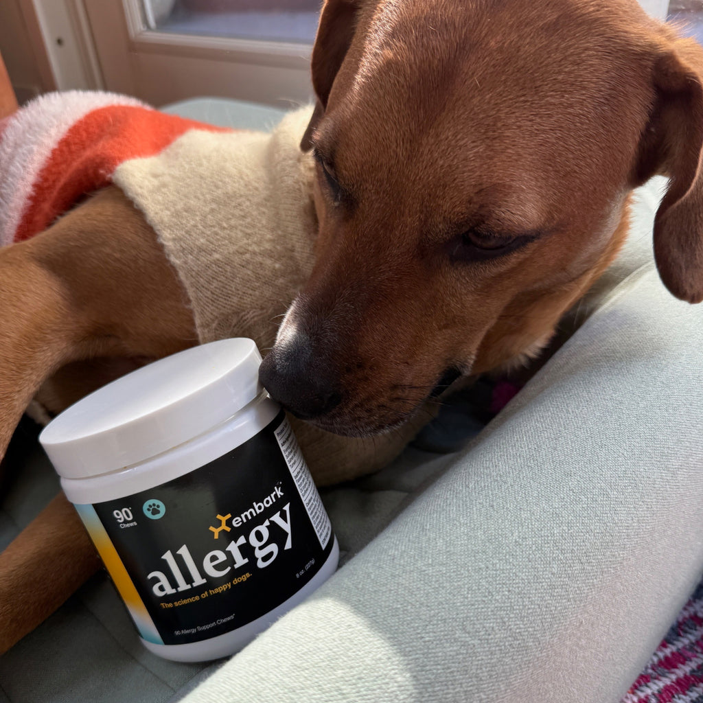 Customers dog with Allergy supplement bottle
