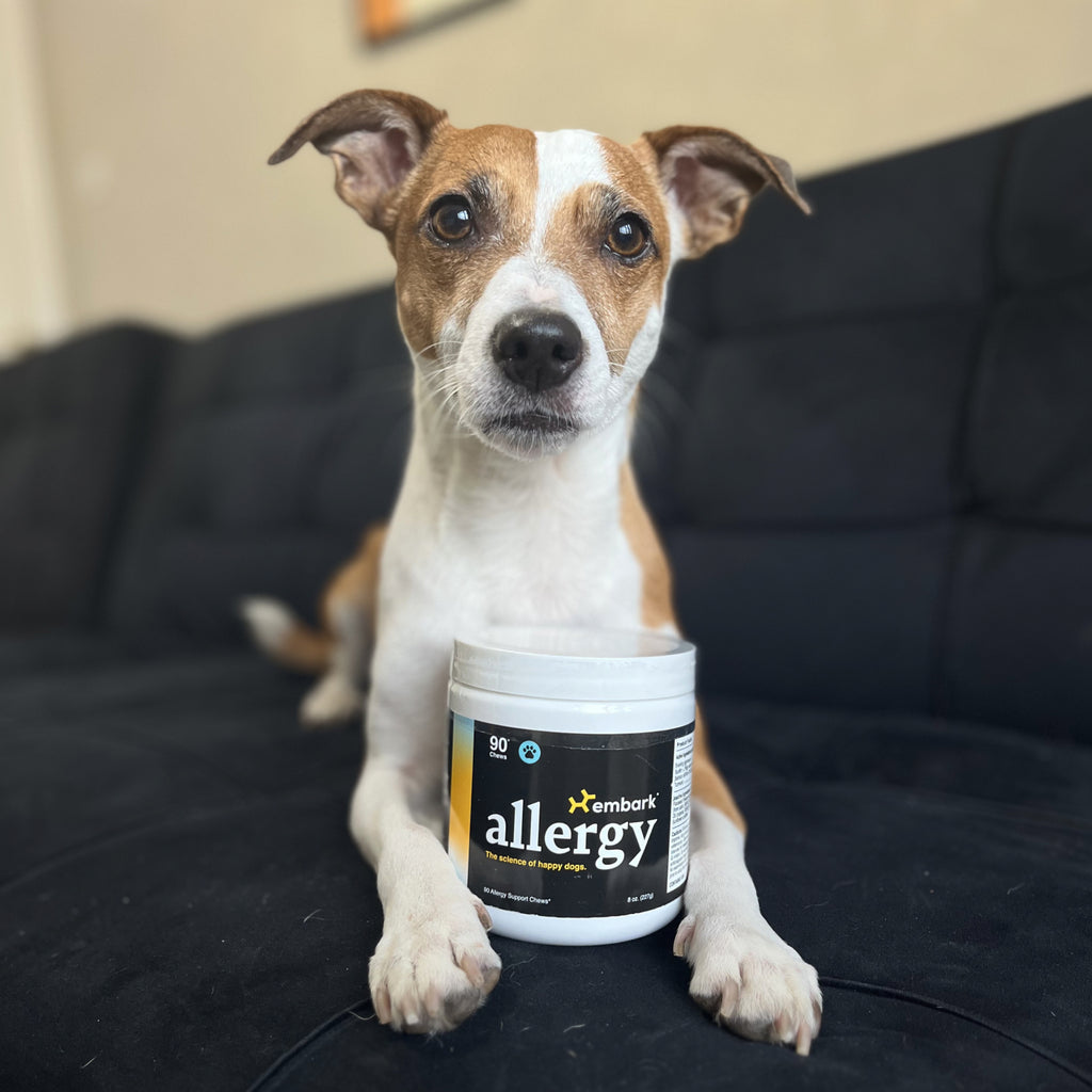 Customers dog with Allergy supplement bottle