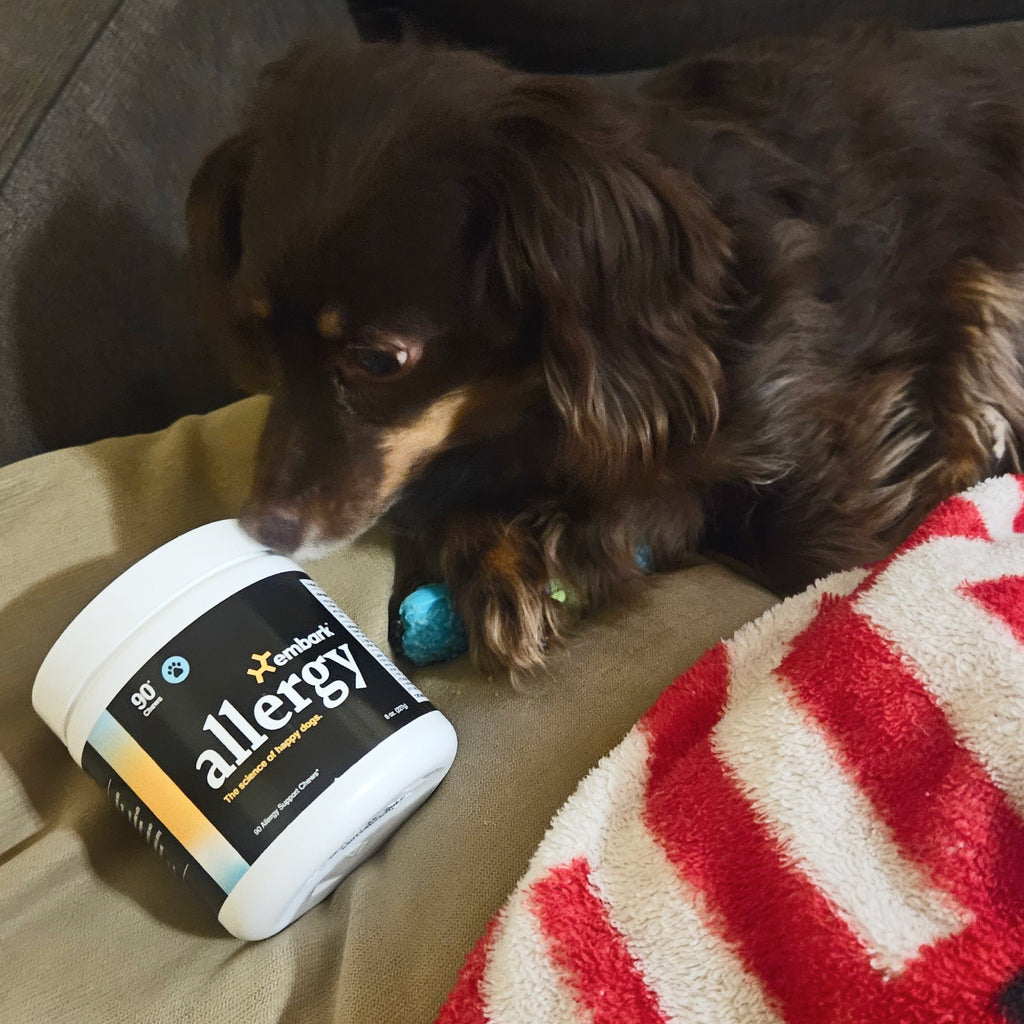 Customers dog with Allergy supplement bottle