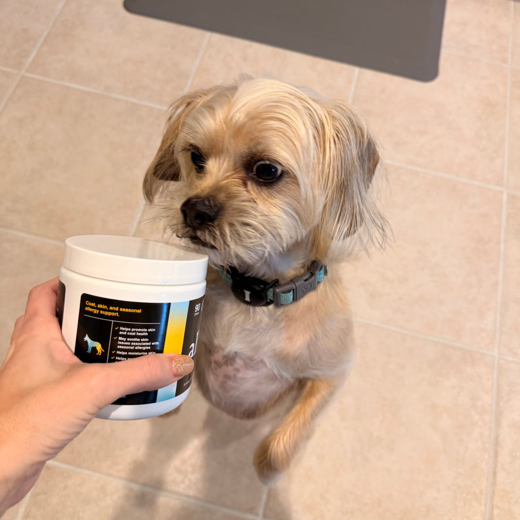 Customers dog with Allergy supplement bottle