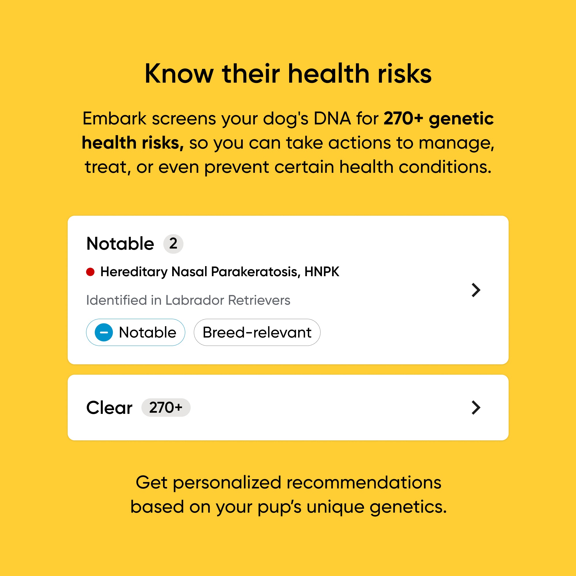 dog DNA health screening service for 270+ health risks on a yellow background