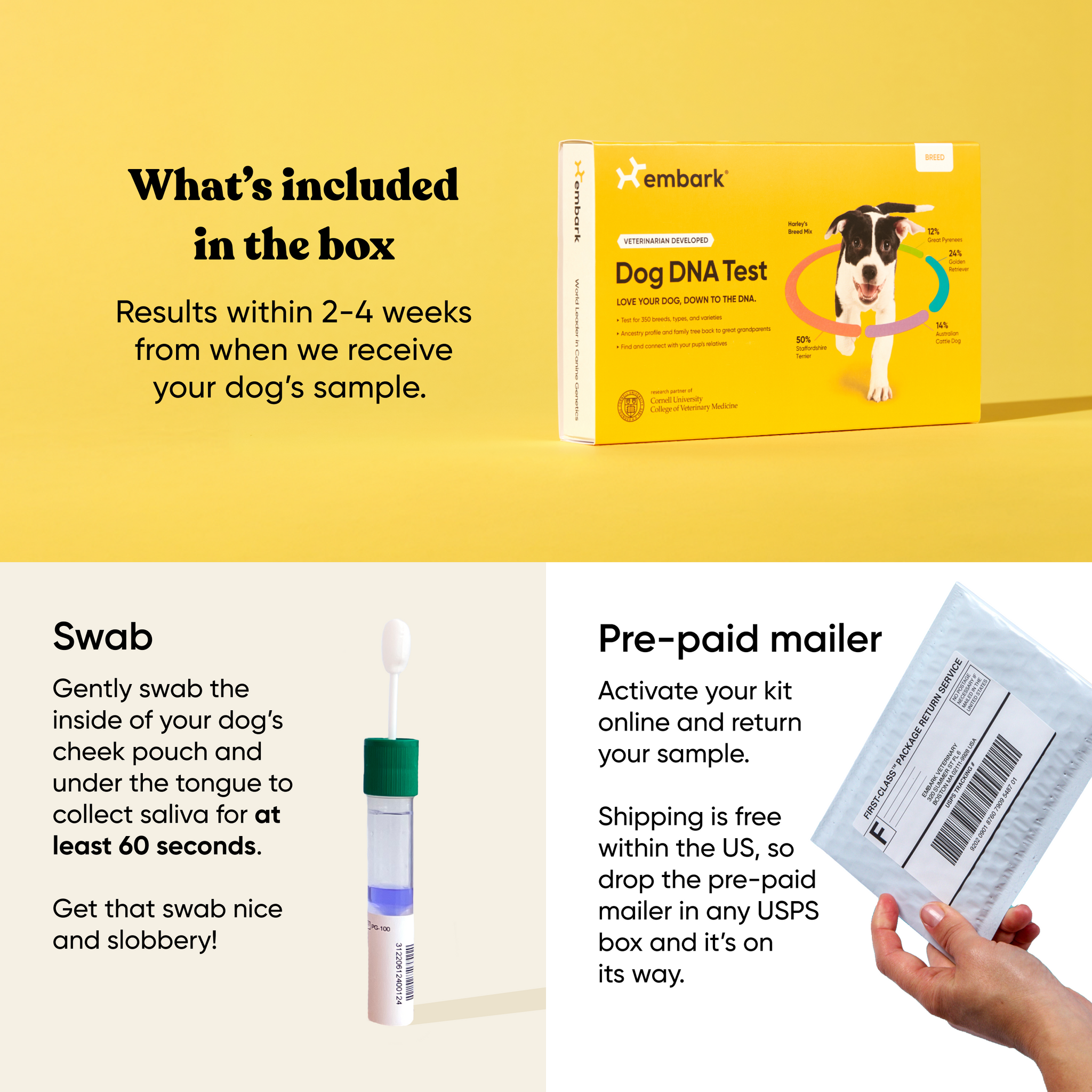 Whats inside an embark dna test box