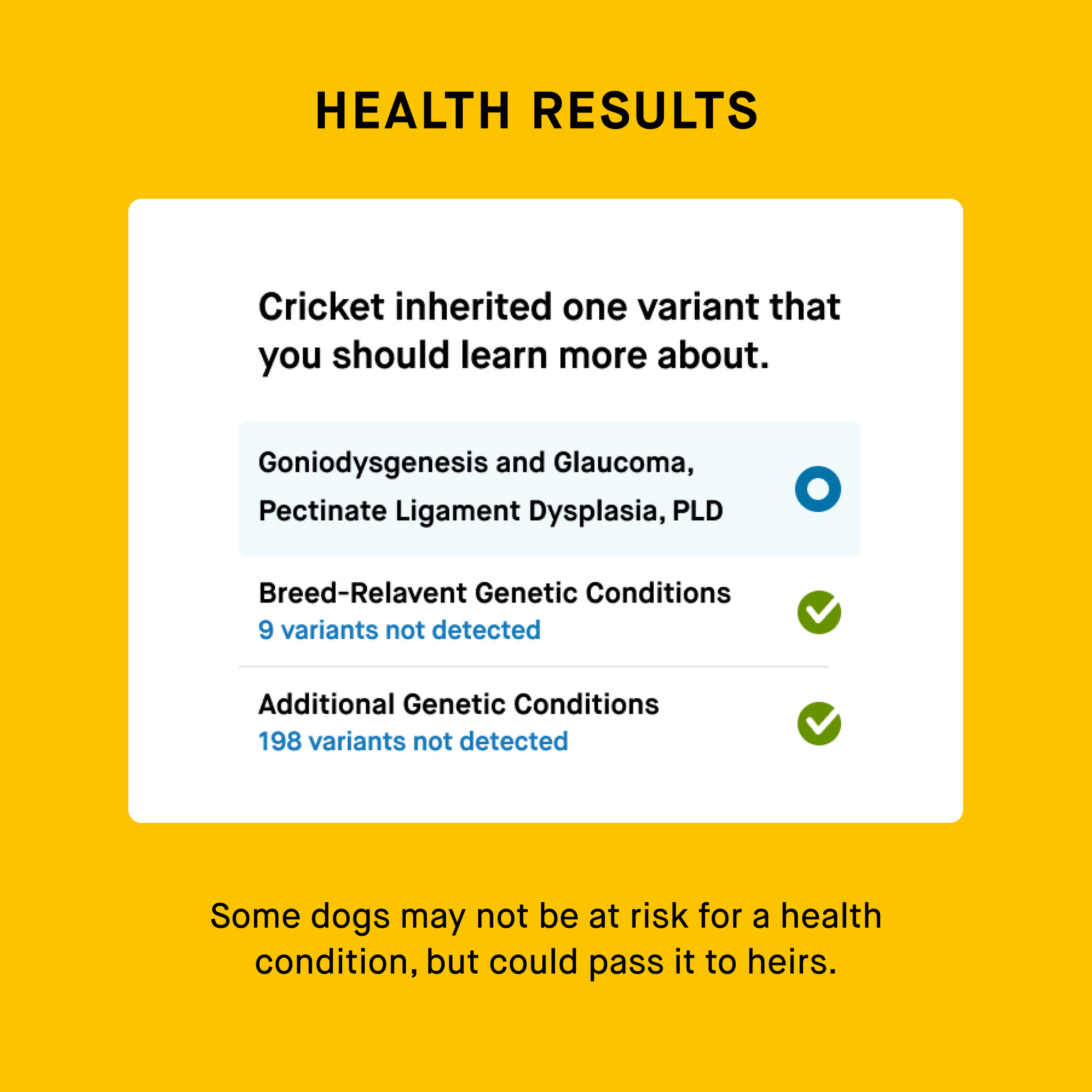 health screening result of puppy dna test
