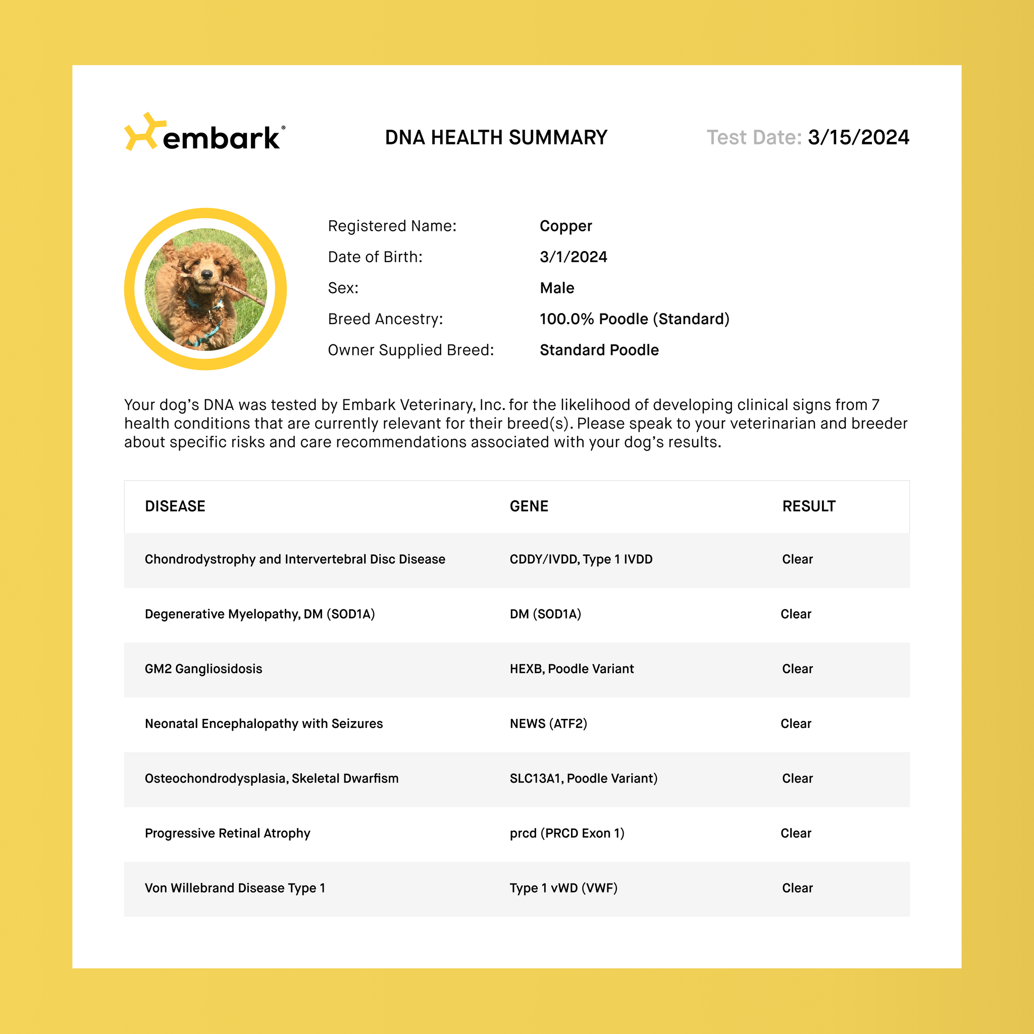 puppy genetic health test result