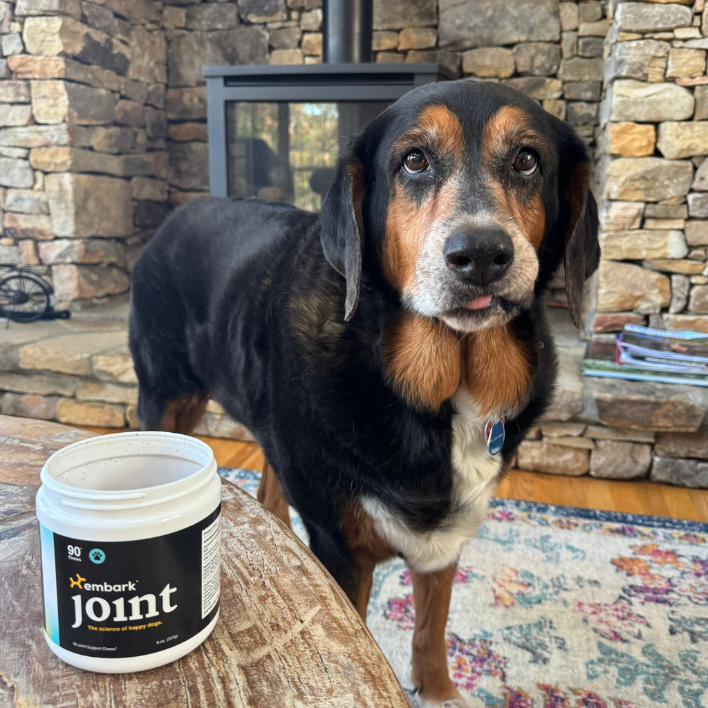 Customers dog with Joint supplement bottle