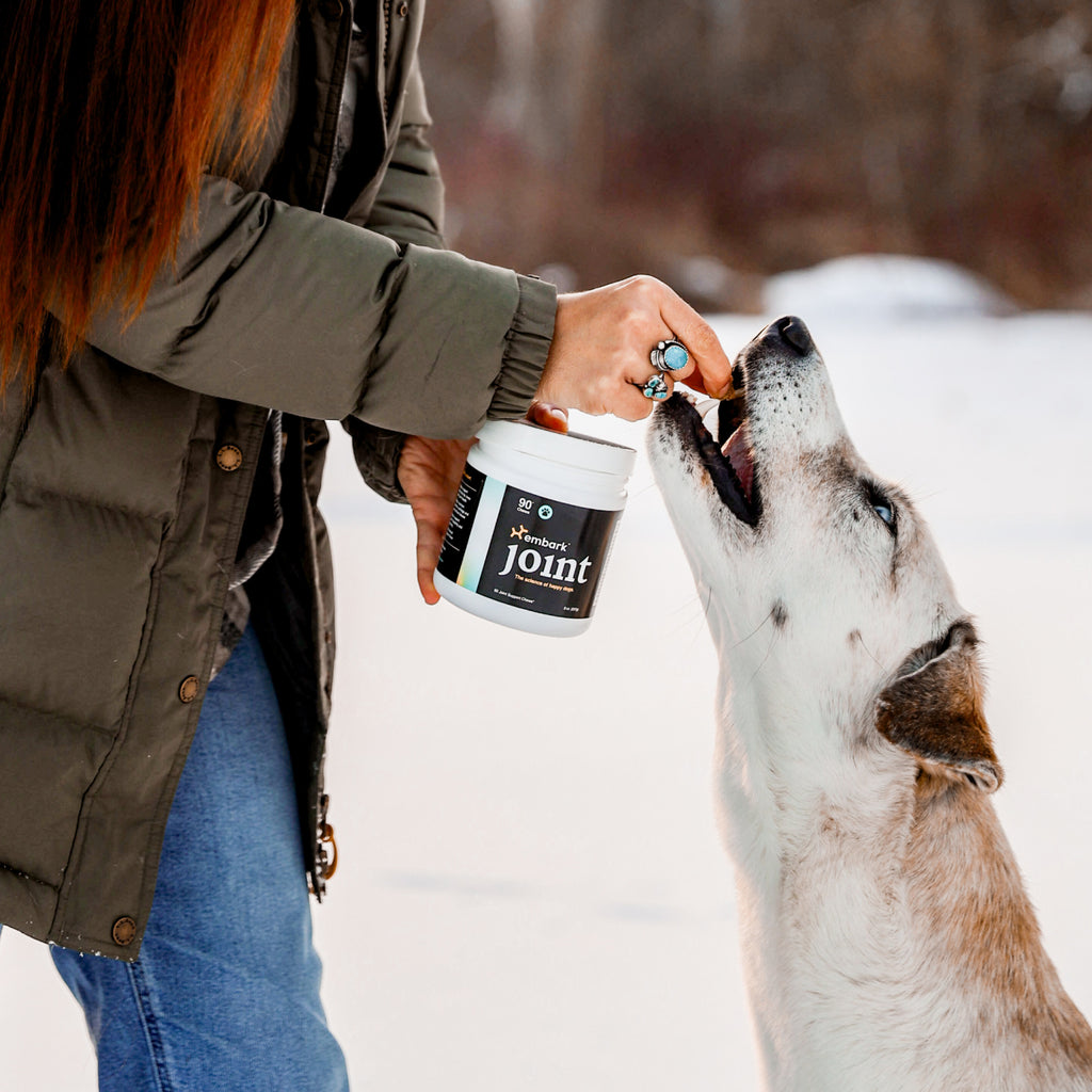 Customers dog with Joint supplement bottle