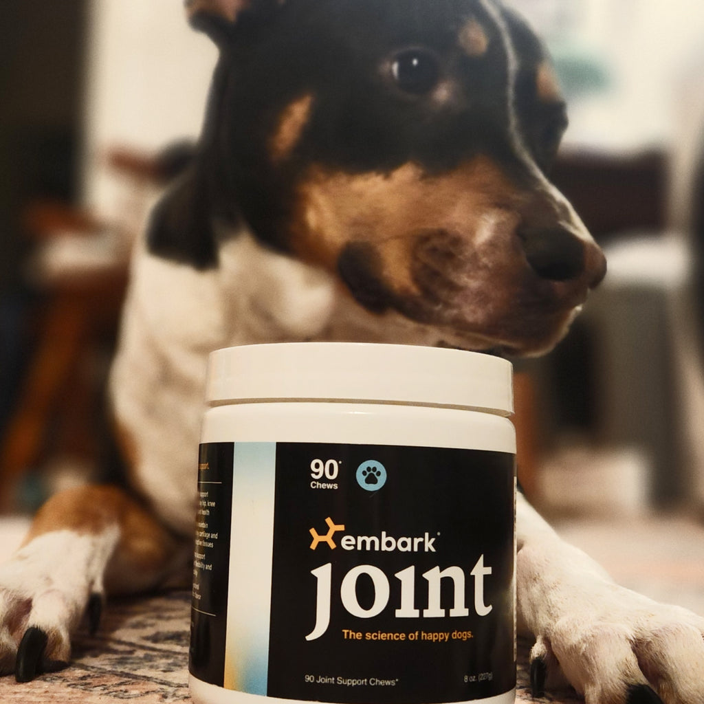 Customers dog with Joint supplement bottle
