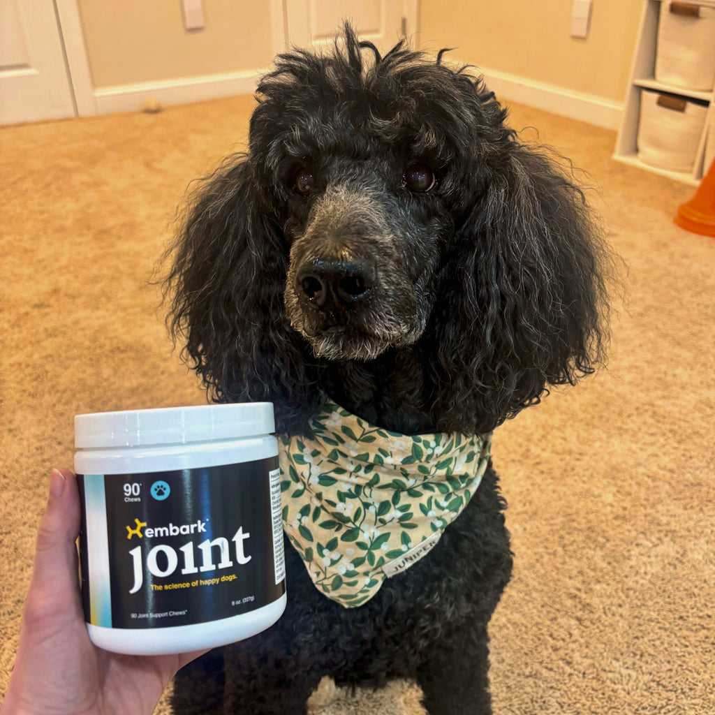 Customers dog with Joint supplement bottle