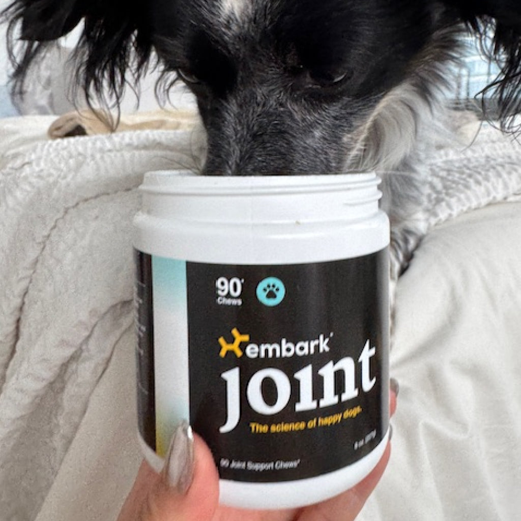 Customers dog with Joint supplement bottle
