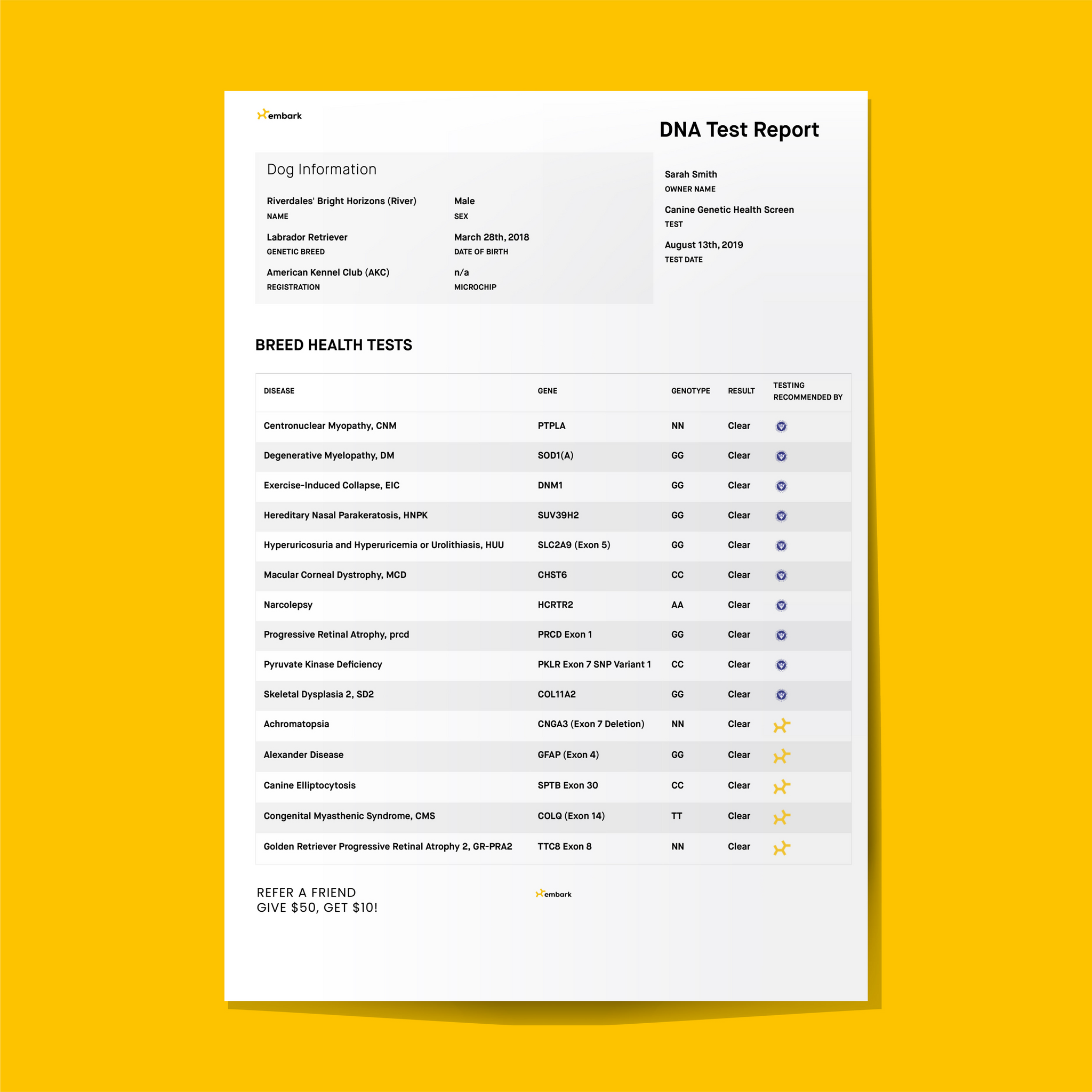 ofa report for puppies