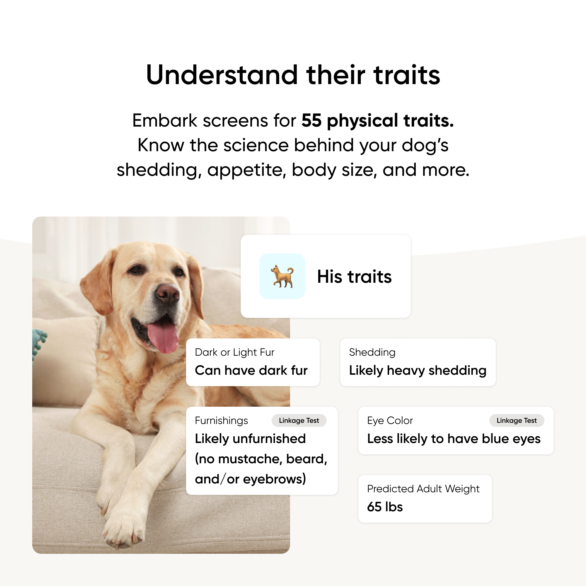 Purebred dog traits insights testing for 55 different traits
