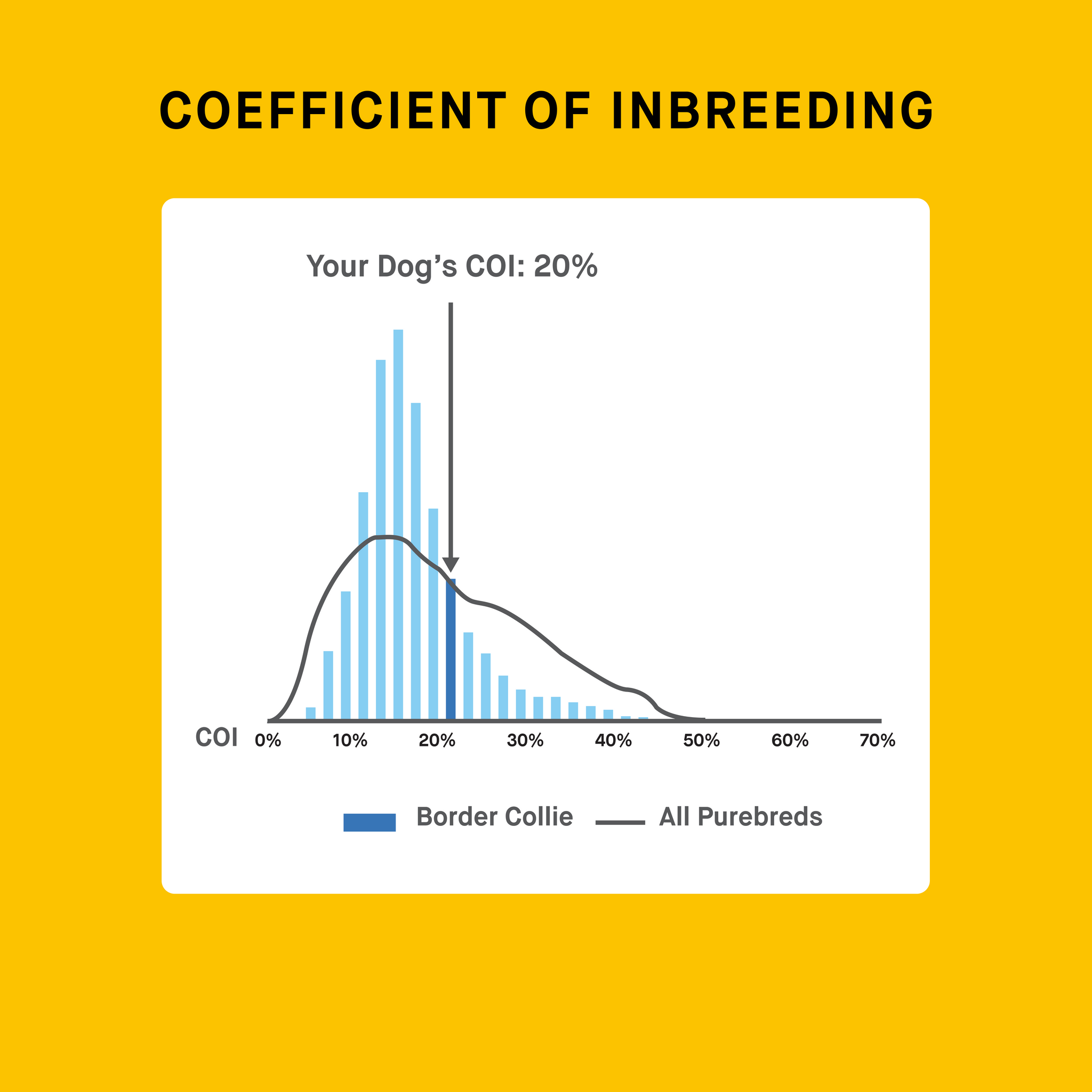 dog COI result