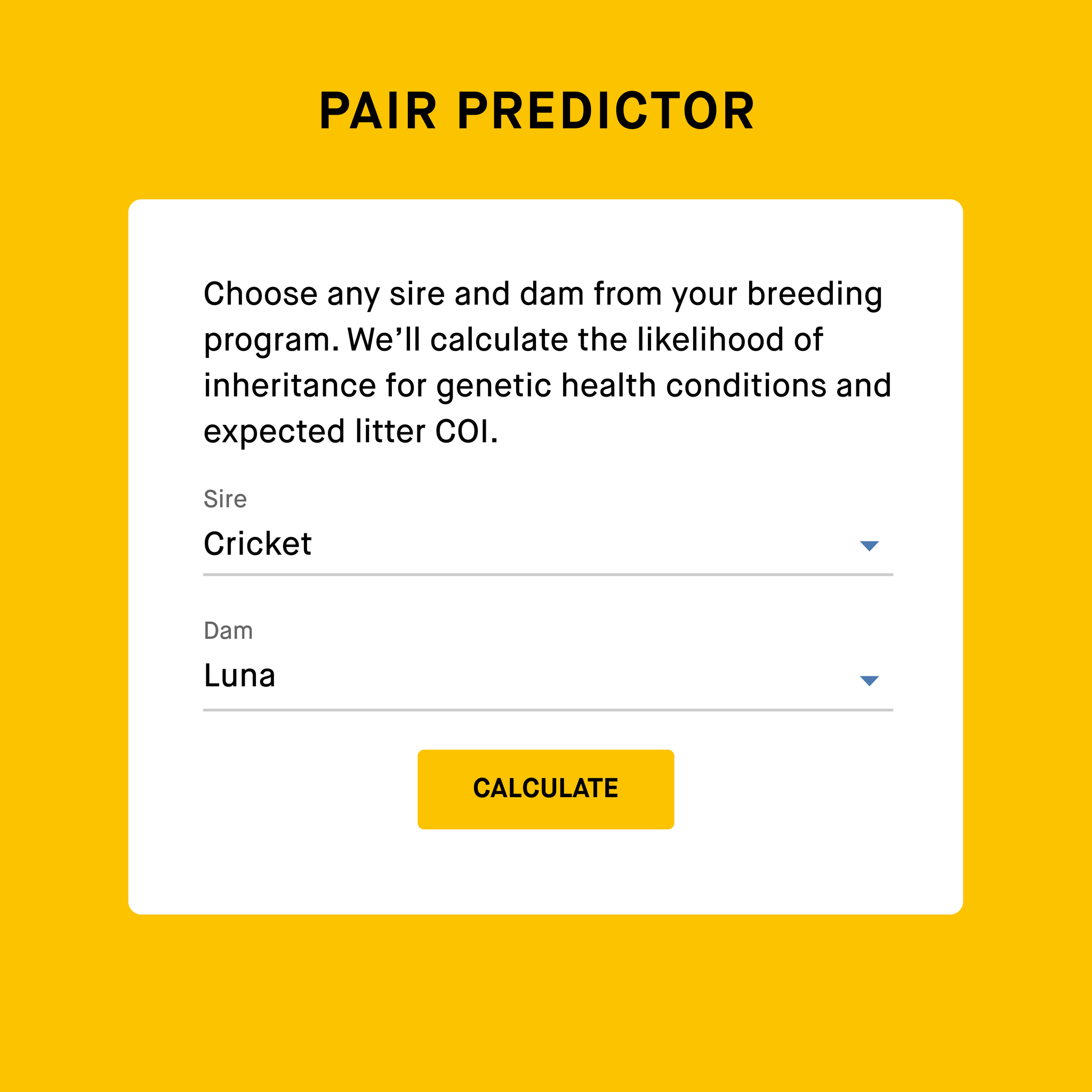 dog breeding pair predictor tool