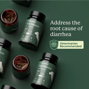 Pet supplement bottles labeled 'Gut Restore' with text about addressing diarrhea.