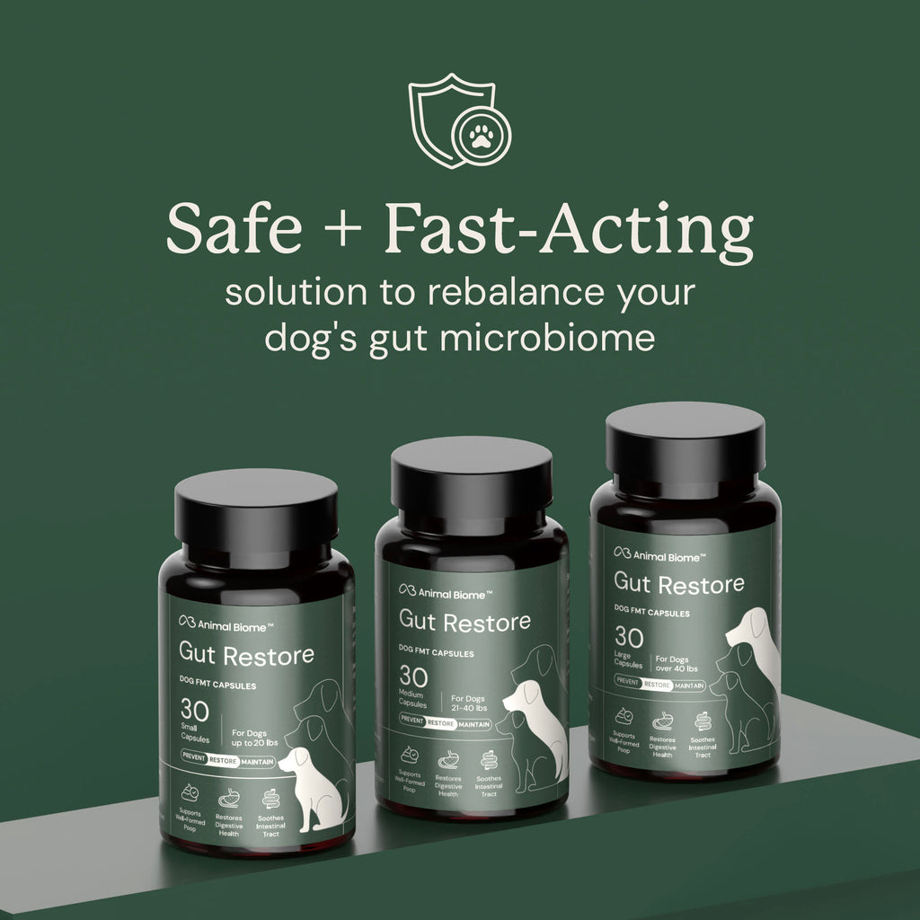 Three bottles of 'Gut Restore' for dogs with text about safe and fast-acting solution.