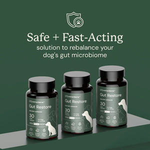 Three bottles of 'Gut Restore' for dogs with text about safe and fast-acting solution.