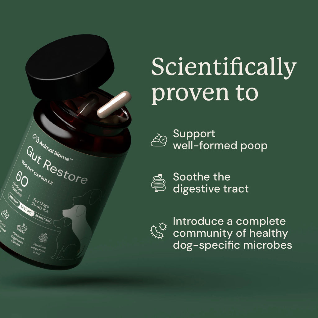 Dog supplement bottle labeled 'Gut Restore' with scientifically proven benefits
