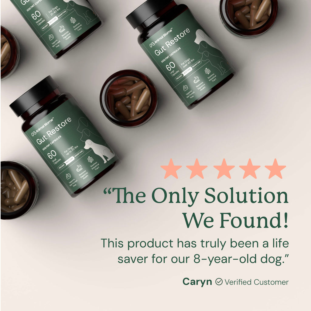 Bottles of 'Gut Restore' featuring a five-star rating and customer review.
