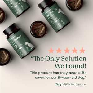 Bottles of 'Gut Restore' featuring a five-star rating and customer review.