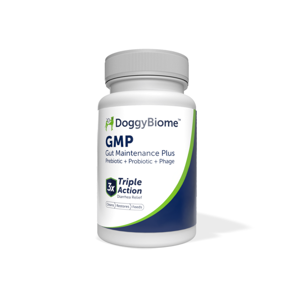 dog gut maintenance plus supplement capsules