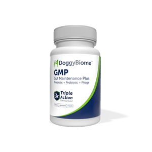 dog gut maintenance plus supplement capsules