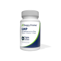 dog gut maintenance plus supplement capsules