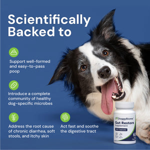 Gut Restore Pill Bottle with a Bordie Collie smiling behind the product bottle.