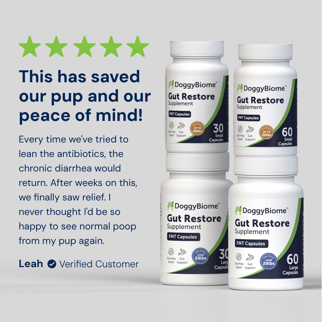 Gut Restore pill bottles, 30 small capsules, 60 small capsules, 30 large capsules, 60 large capsules, featuring a 5 star review from Leah, a verified customer.