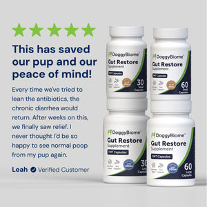 Gut Restore pill bottles, 30 small capsules, 60 small capsules, 30 large capsules, 60 large capsules, featuring a 5 star review from Leah, a verified customer.