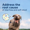 Gut Restore informational image of a labrador, addresses the root of diarrhea and soft stool.