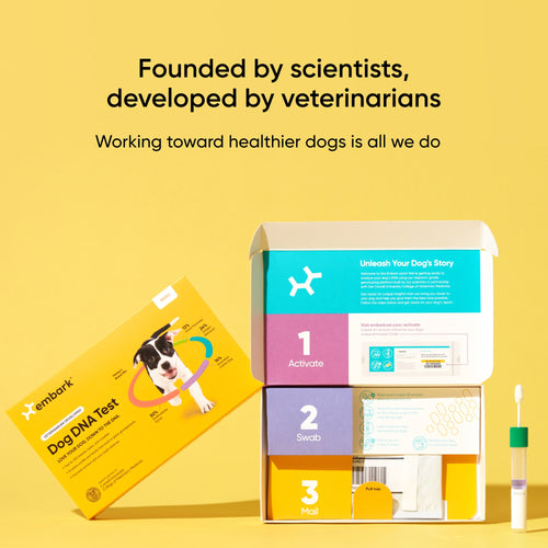 Embark dna test shipping box with instructions