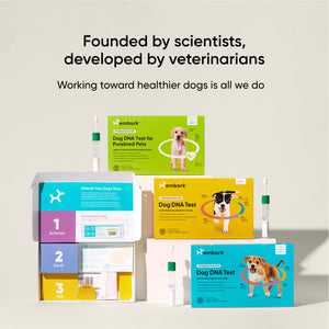Embark – Kit d'identification de race de chien, test d'ADN pour chien