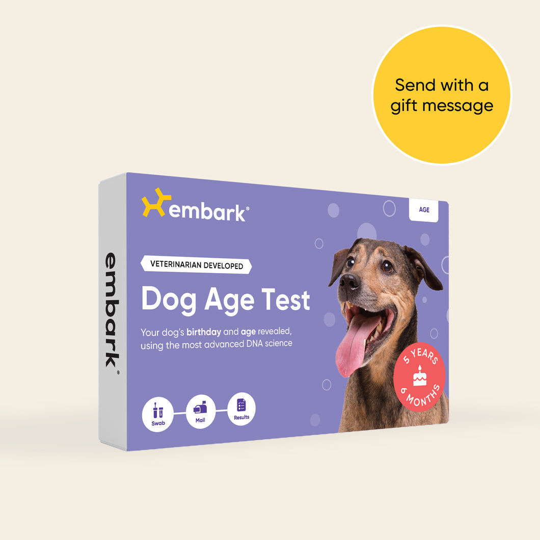Dog Age Test