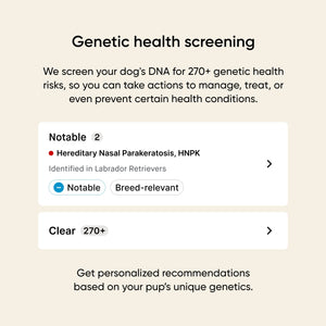 genetic health screening for 270+ genetic health risks