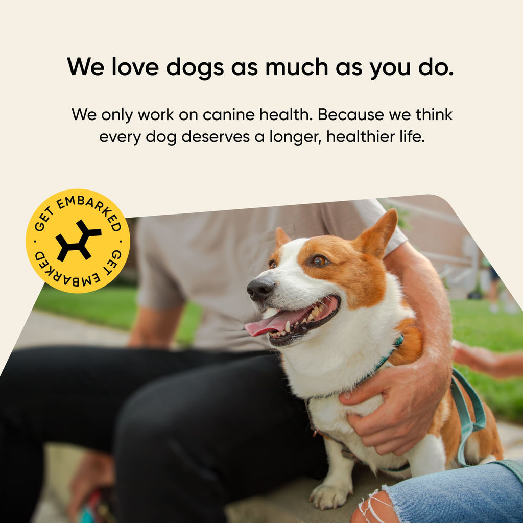 Embark for canine health with happy dog