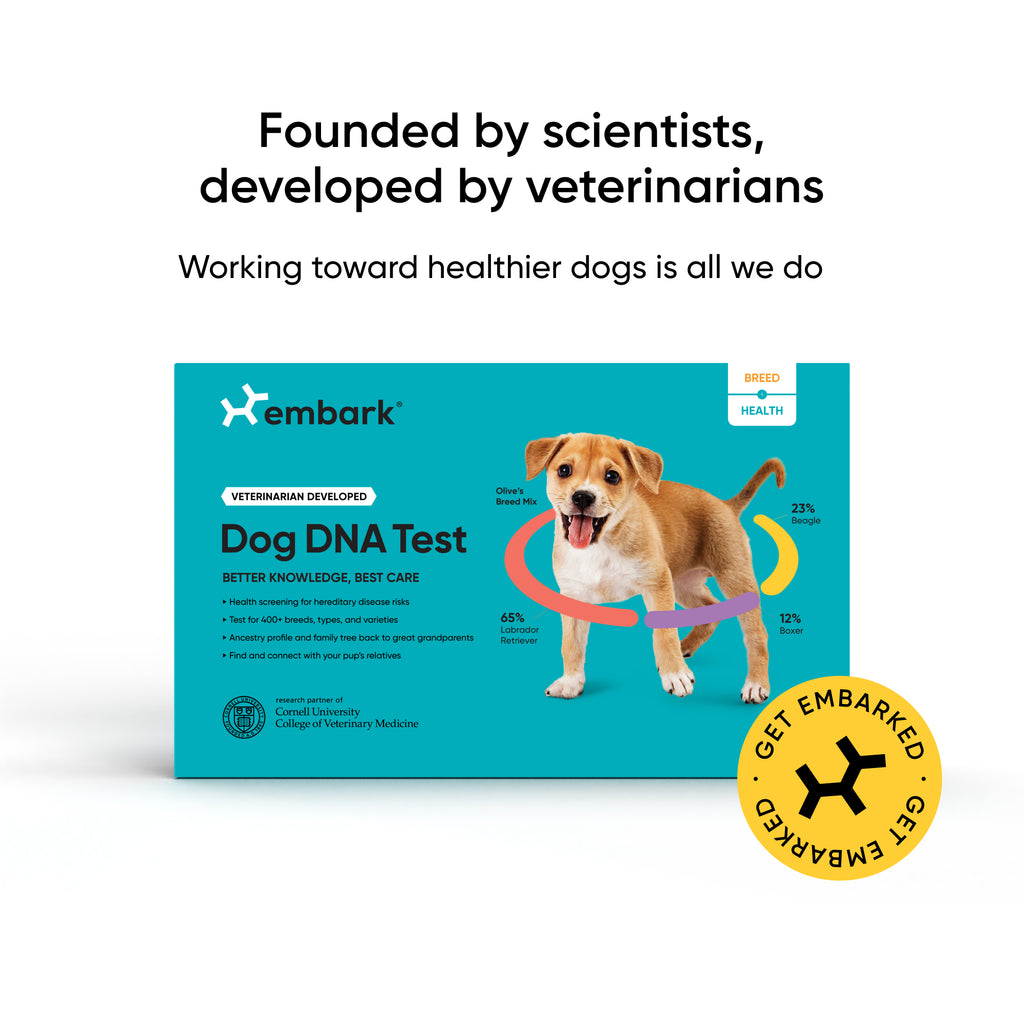 Blue breed and health dog dna test