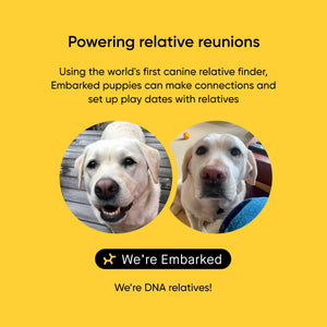 Embark dogs sibling reunion 