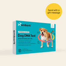 Embark dog DNA test kits