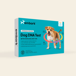 embark dog dna test blue packaging