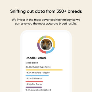 results of a mixed breed dog dna test
