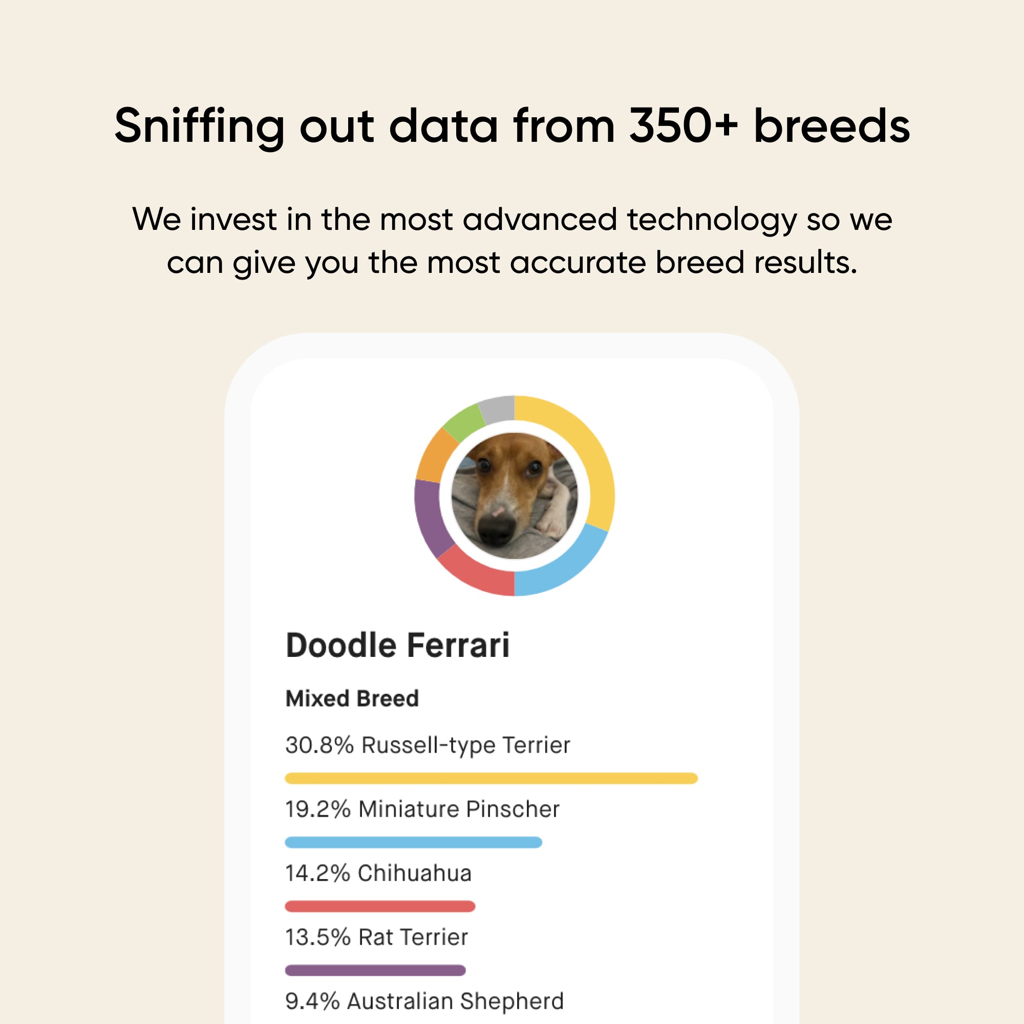 Dogs Getting Tested Dog Dna Test Kit | The 8 Most Affordable Dog DNA Tests You Can Buy in ...
