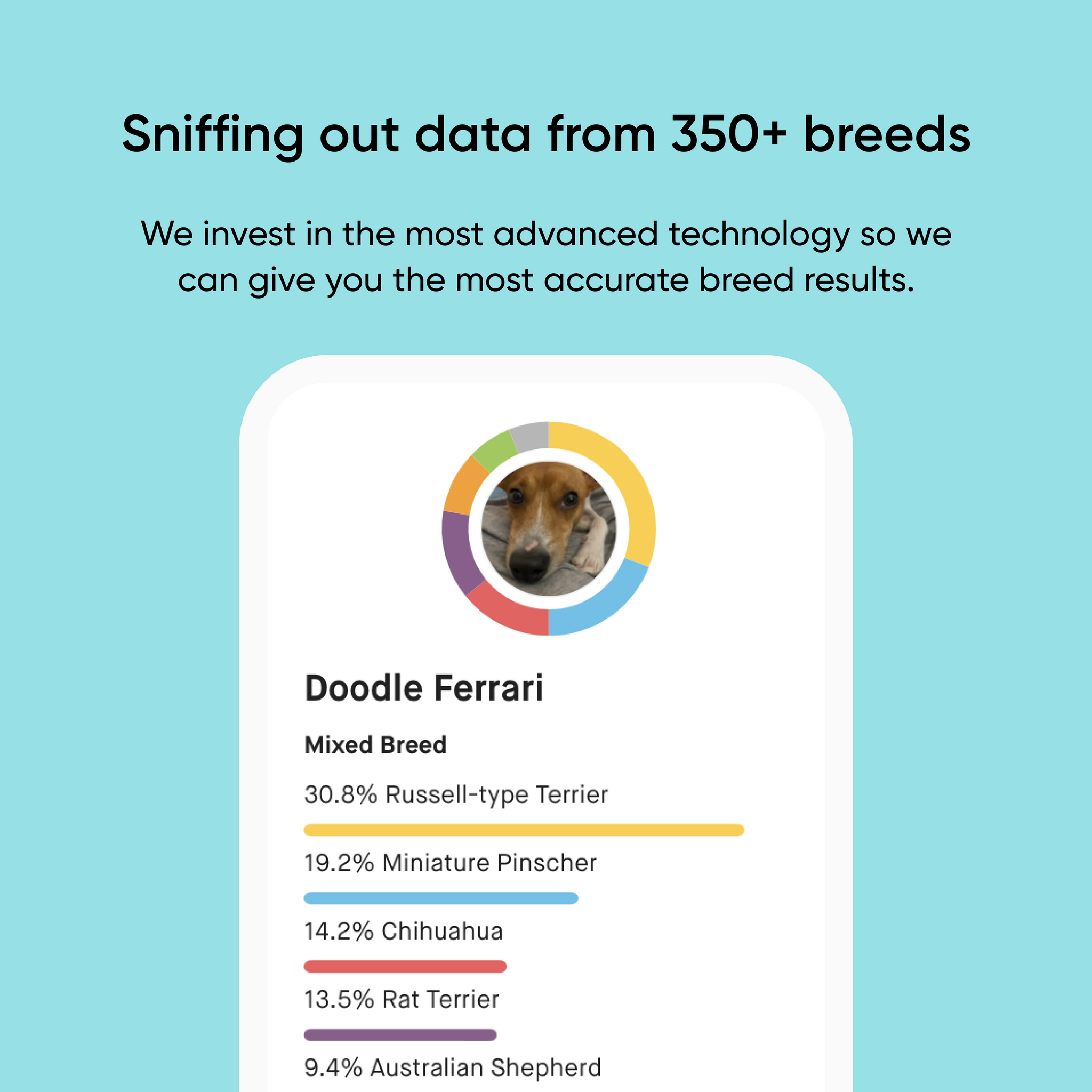 Pet Adoption Gateway x Embark Breed ID DNA Test