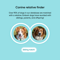 Pet Adoption Gateway x Embark Breed ID DNA Test