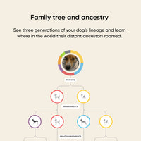 ancestry results of a dog dna test