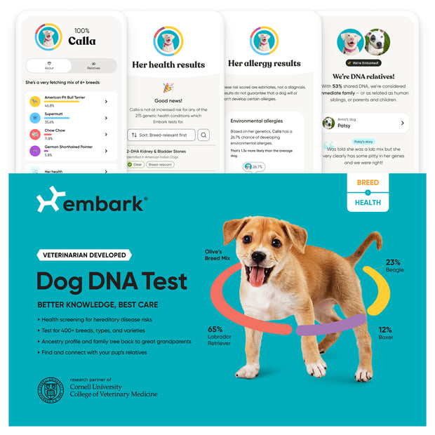 Breed + Health Dog DNA Test