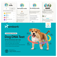 Breed + Health Dog DNA Test
