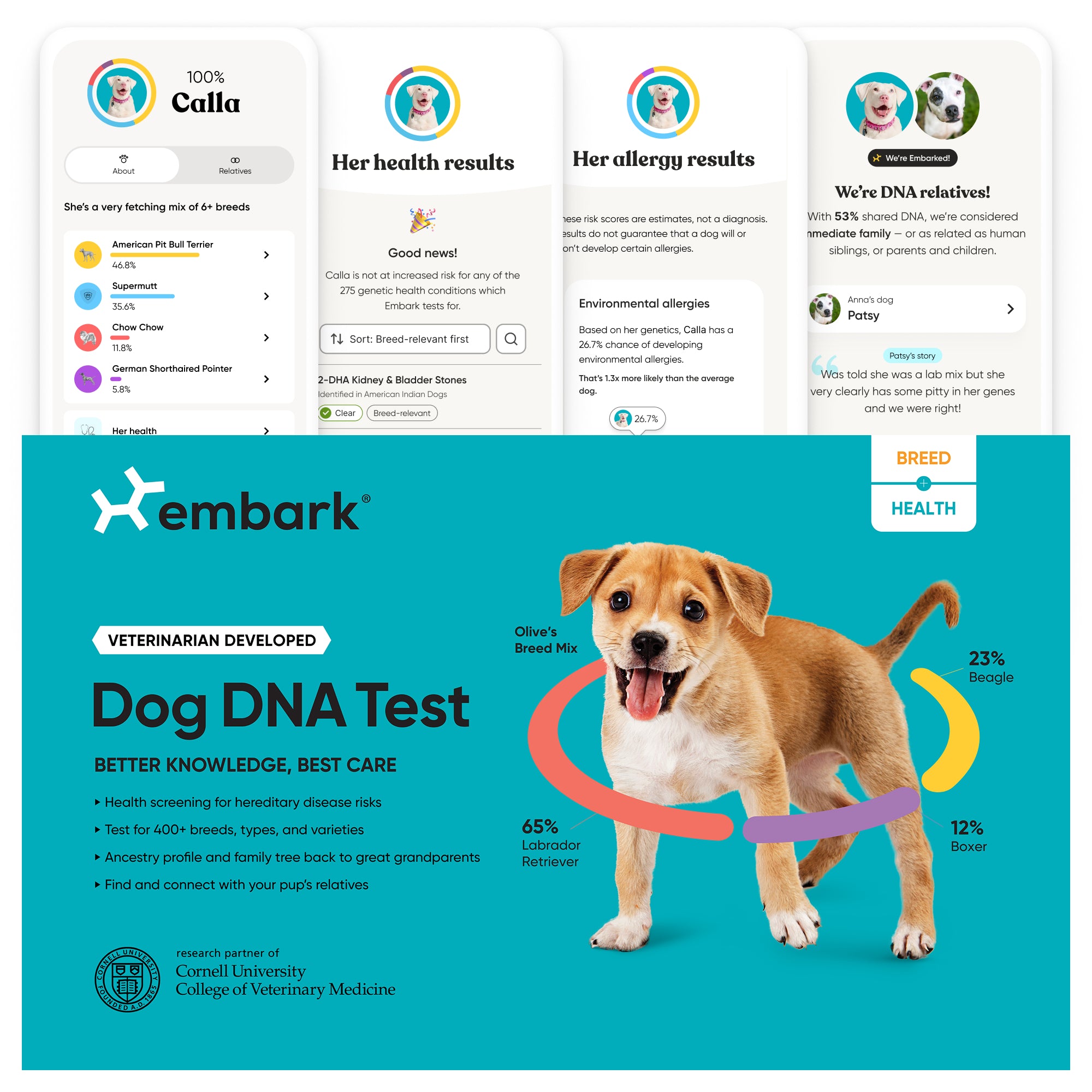Breed + Health Dog DNA Test