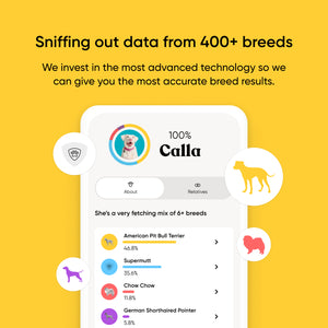 Breed + Health Dog DNA Test