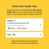 Breed + Health Dog DNA Test