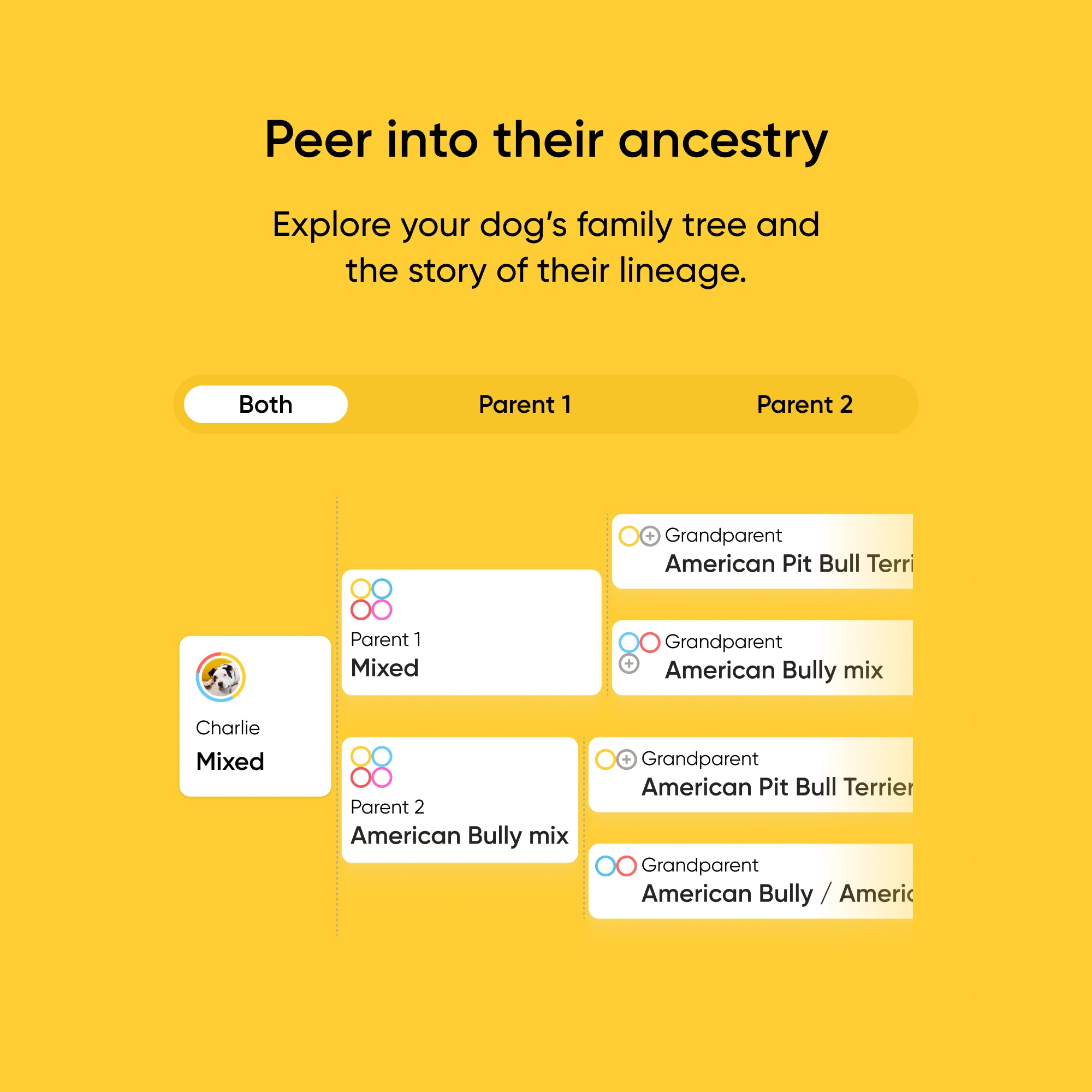 Ancestry exploration interface for dogs with family tree information on a yellow background